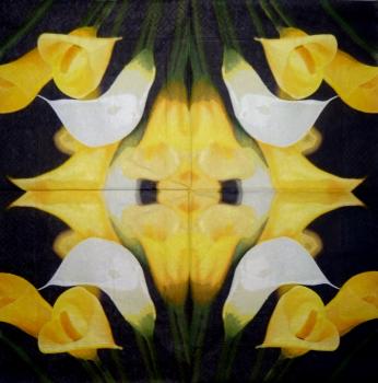 035 Calla - 3-ply